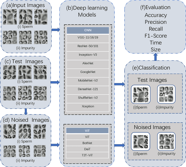 Figure 1 for A Comparison for Anti-noise Robustness of Deep Learning Classification Methods on a Tiny Object Image Dataset: from Convolutional Neural Network to Visual Transformer and Performer