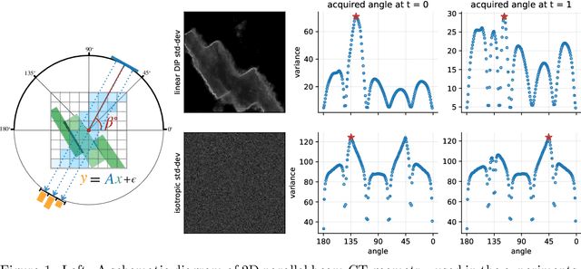 Figure 1 for Bayesian Experimental Design for Computed Tomography with the Linearised Deep Image Prior