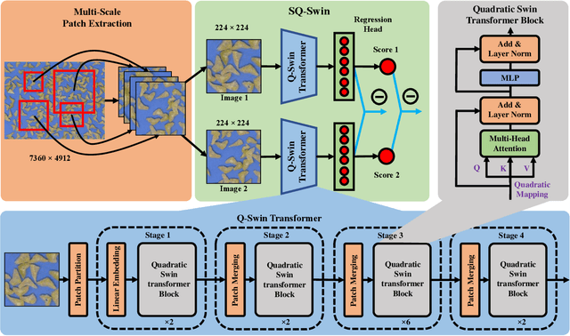 Figure 1 for SQ-Swin: a Pretrained Siamese Quadratic Swin Transformer for Lettuce Browning Prediction