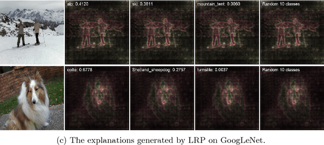 Figure 1 for Understanding Individual Decisions of CNNs via Contrastive Backpropagation