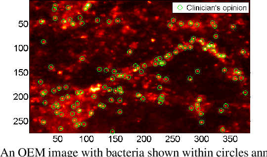 Figure 1 for Patch-based Sparse Representation For Bacterial Detection