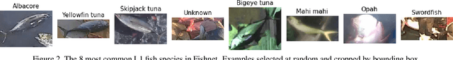 Figure 3 for The Fishnet Open Images Database: A Dataset for Fish Detection and Fine-Grained Categorization in Fisheries