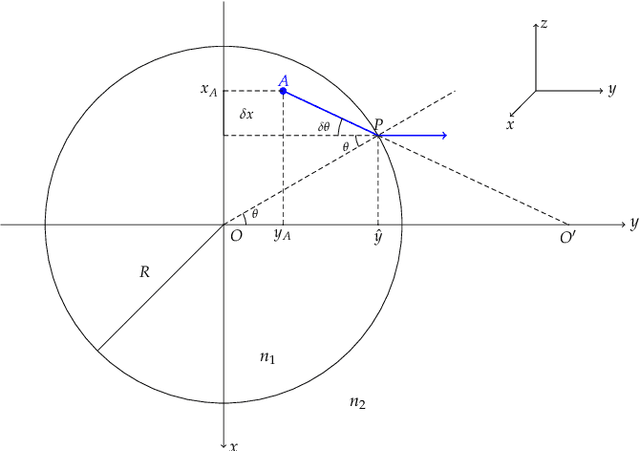 Figure 4 for Artifacts in optical projection tomography due to refractive index mismatch: model and correction
