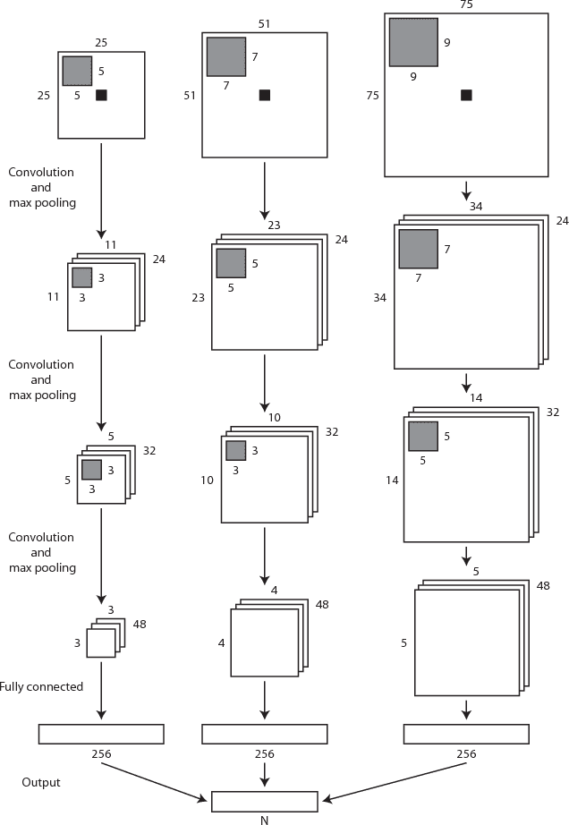 Figure 1 for Automatic segmentation of MR brain images with a convolutional neural network