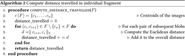 Figure 2 for idtracker.ai: Tracking all individuals in large collectives of unmarked animals