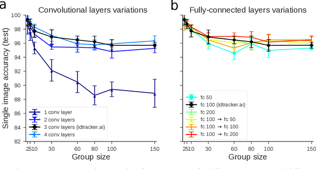 Figure 3 for idtracker.ai: Tracking all individuals in large collectives of unmarked animals