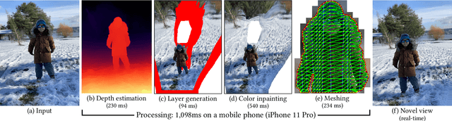 Figure 1 for One Shot 3D Photography