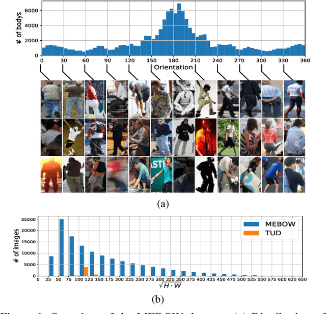 Figure 1 for MEBOW: Monocular Estimation of Body Orientation In the Wild