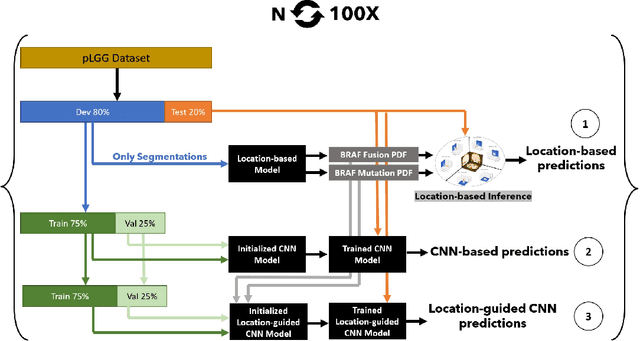 Figure 1 for Tumor-location-guided CNNs for Pediatric Low-grade Glioma Molecular Biomarker Classification Using MRI