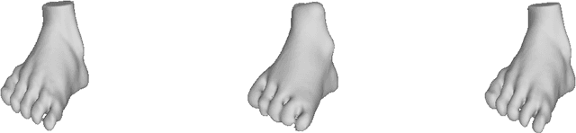 Figure 4 for Multi-modal 3D Shape Reconstruction Under Calibration Uncertainty using Parametric Level Set Methods