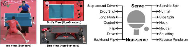 Figure 1 for $\textbf{P$^2$A}$: A Dataset and Benchmark for Dense Action Detection from Table Tennis Match Broadcasting Videos