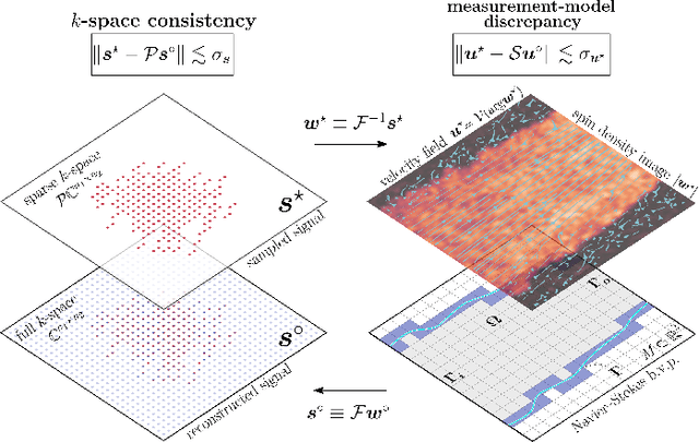 Figure 2 for Physics-informed compressed sensing for PC-MRI: an inverse Navier-Stokes problem