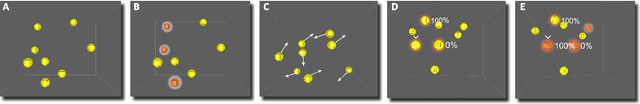 Figure 1 for Significant changes in EEG neural oscillations during different phases of three-dimensional multiple object tracking task (3D-MOT) imply different roles for attention and working memory