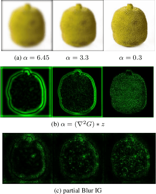 Figure 1 for Attribution in Scale and Space