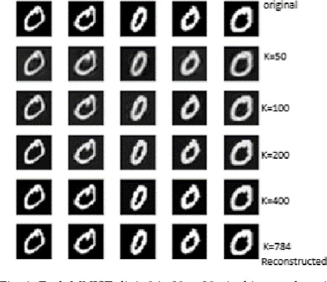 Figure 1 for Dimension Estimation Using Autoencoders