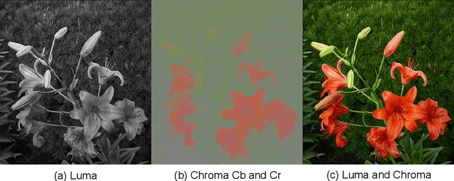 Figure 2 for Visible Light-Based Human Visual System Conceptual Model