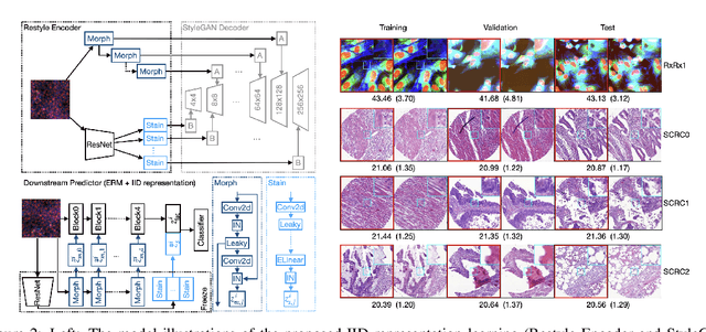 Figure 3 for Towards IID representation learning and its application on biomedical data