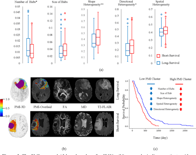 Figure 3 for Artificial intelligence-based locoregional markers of brain peritumoral microenvironment