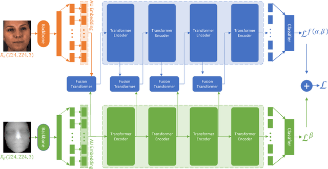 Figure 1 for Multi-Modal Learning for AU Detection Based on Multi-Head Fused Transformers