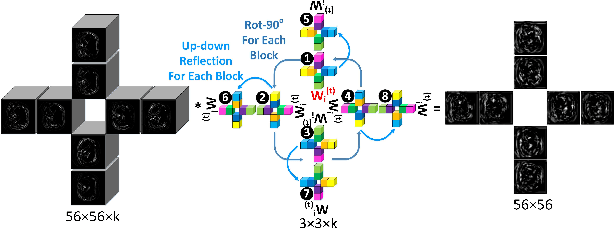 Figure 4 for Beyond CNNs: Exploiting Further Inherent Symmetries in Medical Image Segmentation