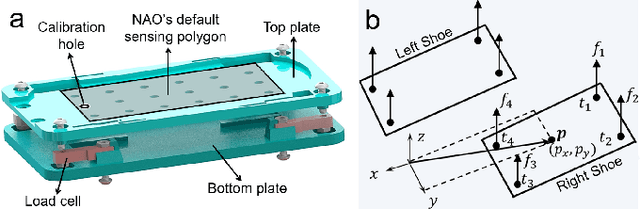 Figure 1 for Watch Me Calibrate My Force-Sensing Shoes!
