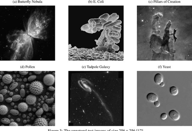Figure 4 for Deep Iterative Reconstruction for Phase Retrieval