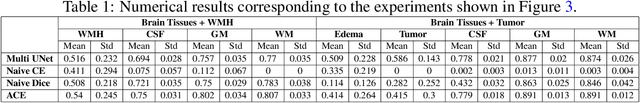 Figure 2 for Joint Learning of Brain Lesion and Anatomy Segmentation from Heterogeneous Datasets