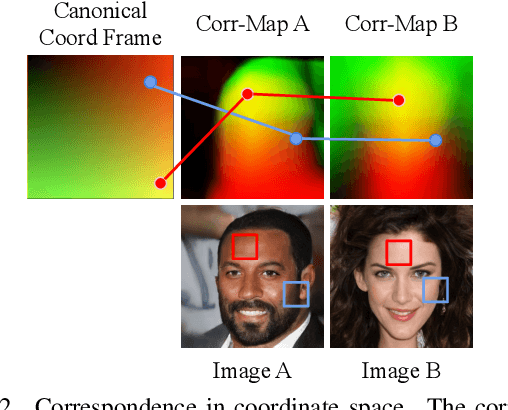 Figure 2 for CoordGAN: Self-Supervised Dense Correspondences Emerge from GANs
