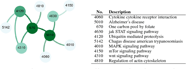 Figure 2 for Group induced graphical lasso allows for discovery of molecular pathways-pathways interactions