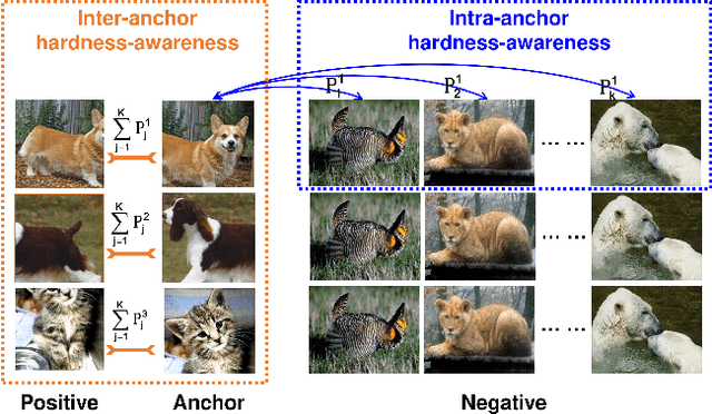 Figure 1 for Dual Temperature Helps Contrastive Learning Without Many Negative Samples: Towards Understanding and Simplifying MoCo