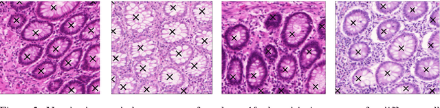 Figure 3 for Analyzing Learned Convnet Features with Dirichlet Process Gaussian Mixture Models