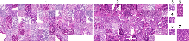 Figure 4 for Analyzing Learned Convnet Features with Dirichlet Process Gaussian Mixture Models