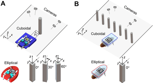 Figure 1 for Shape-induced obstacle attraction and repulsion during dynamic locomotion