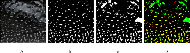 Figure 2 for Automatic segmentation of lizard spots using an active contour model