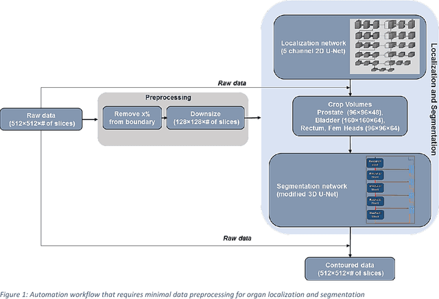 Figure 1 for Fully Automated Organ Segmentation in Male Pelvic CT Images