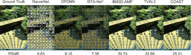 Figure 4 for COAST: COntrollable Arbitrary-Sampling NeTwork for Compressive Sensing