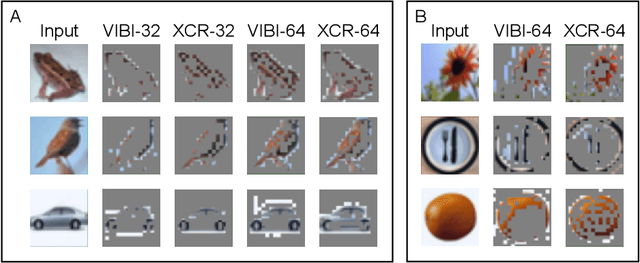 Figure 3 for Explanation-based Counterfactual Retraining(XCR): A Calibration Method for Black-box Models