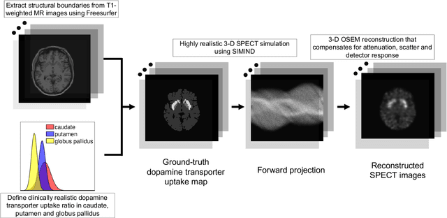 Figure 3 for Fully automated 3D segmentation of dopamine transporter SPECT images using an estimation-based approach
