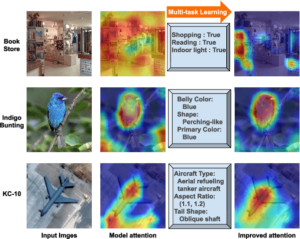 Figure 2 for Where is the Model Looking At?--Concentrate and Explain the Network Attention