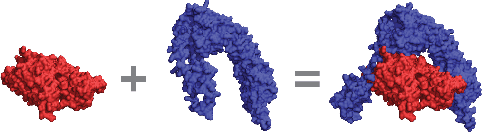 Figure 1 for Generalizable Protein Interface Prediction with End-to-End Learning