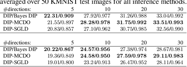 Figure 4 for A Probabilistic Deep Image Prior for Computational Tomography