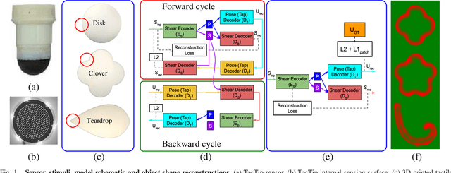 Figure 1 for Semi-Supervised Disentanglement of Tactile Contact~Geometry from Sliding-Induced Shear