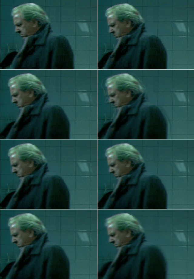 Figure 1 for A qualitative investigation of optical flow algorithms for video denoising