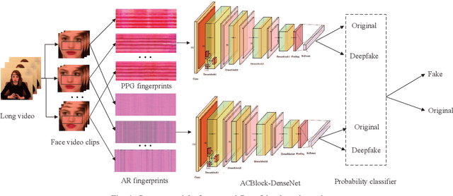 Figure 1 for Exposing Deepfake with Pixel-wise AR and PPG Correlation from Faint Signals