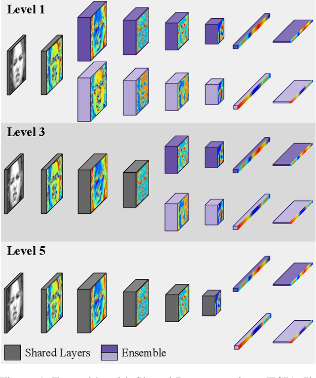 Figure 1 for Efficient Facial Feature Learning with Wide Ensemble-based Convolutional Neural Networks