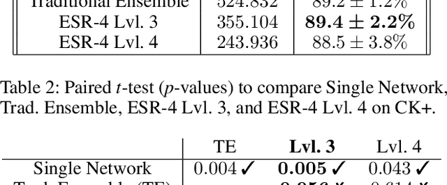 Figure 4 for Efficient Facial Feature Learning with Wide Ensemble-based Convolutional Neural Networks