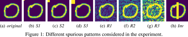 Figure 1 for Understanding Rare Spurious Correlations in Neural Networks