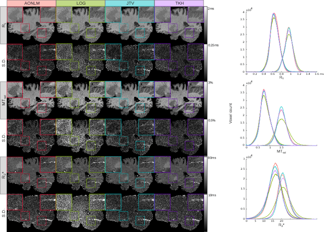 Figure 3 for Joint Total Variation ESTATICS for Robust Multi-Parameter Mapping