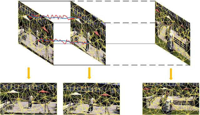 Figure 1 for Adaptively Meshed Video Stabilization