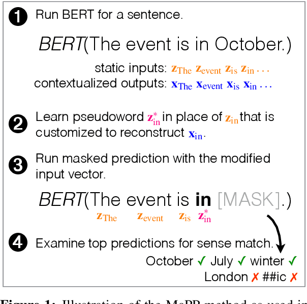 Figure 1 for Putting Words in BERT's Mouth: Navigating Contextualized Vector Spaces with Pseudowords